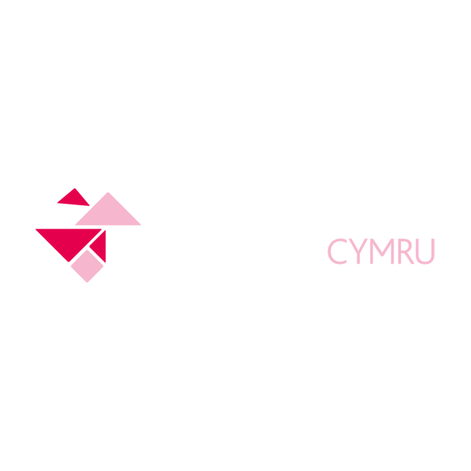 Cerebral Palsy Cymru